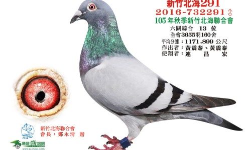 丹参的主要功效和作用是什么-丹参的作用与功效及用药禁忌网—知名的丹参功效与作用主要治什么病症网站,分享丹参的功效作用与主治与用量禁忌知识