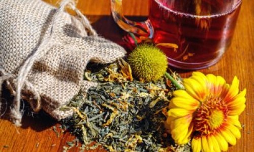 丹参的作用与功效及用药禁忌网—知名的丹参功效与作用主要治什么病症网站,分享丹参的功效作用与主治与用量禁忌知识
