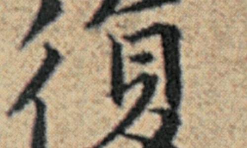 丹参的作用与功效及用药禁忌网—知名的丹参功效与作用主要治什么病症网站,分享丹参的功效作用与主治与用量禁忌知识